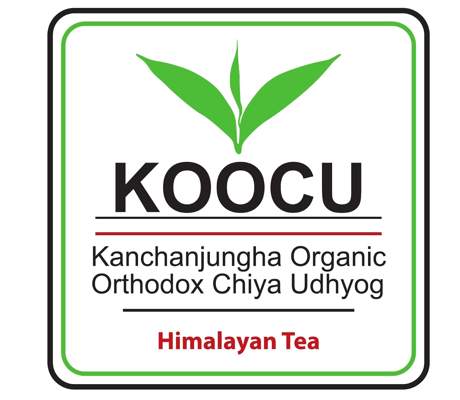 Kanchanjungha Organic Orthodox